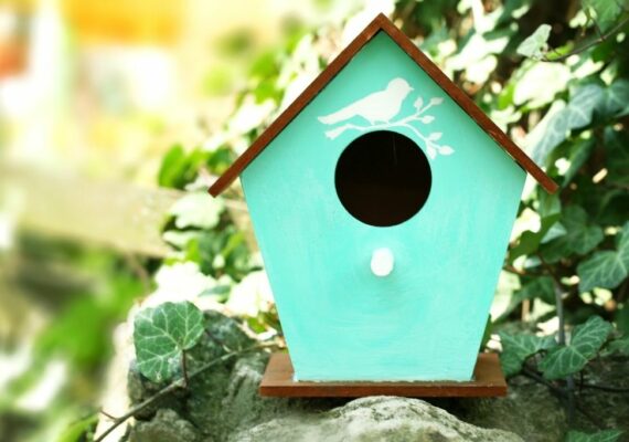 15 DIY Hummingbird House Plans You Can Build