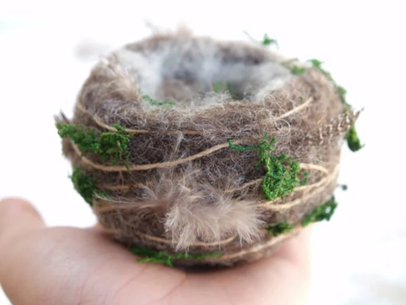 Wool and Foam Hummingbird Nest