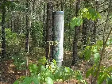 DIY PVC Gravity Deer Feeder