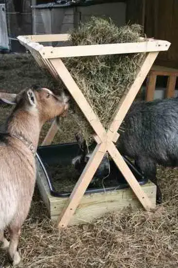Build A Hay Feeder For Small Livestock