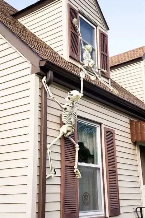 Climbing Halloween Skeletons