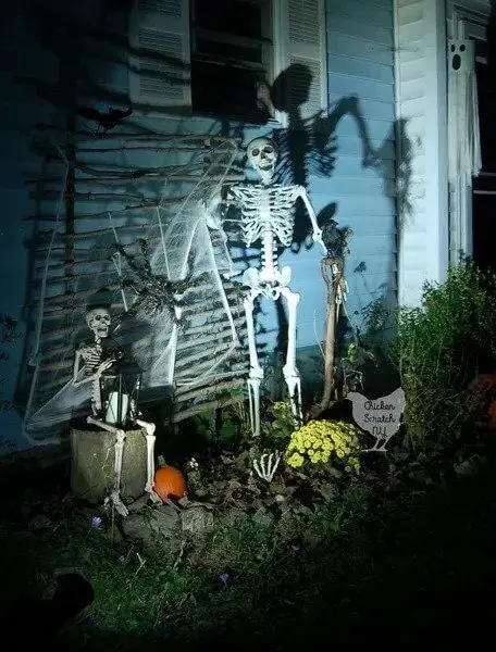 Halloween Skeleton Display For Day & Night