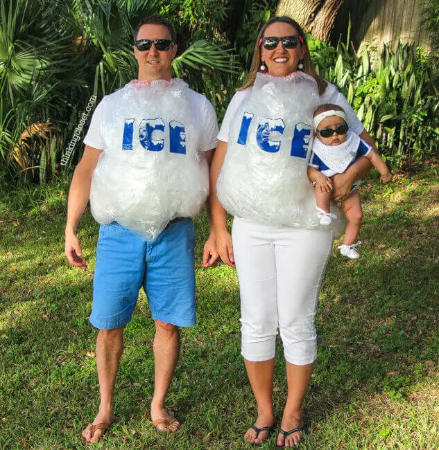 Bag Of Ice Halloween Costume