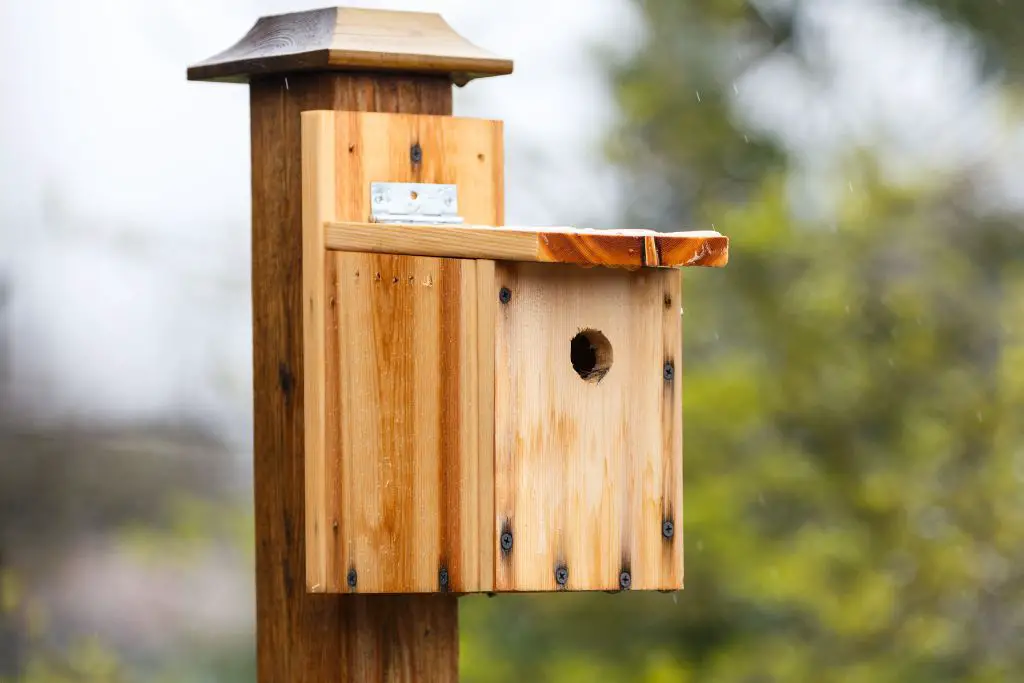 11 DIY Finch Bird House Plans You Can Build - Handy Keen