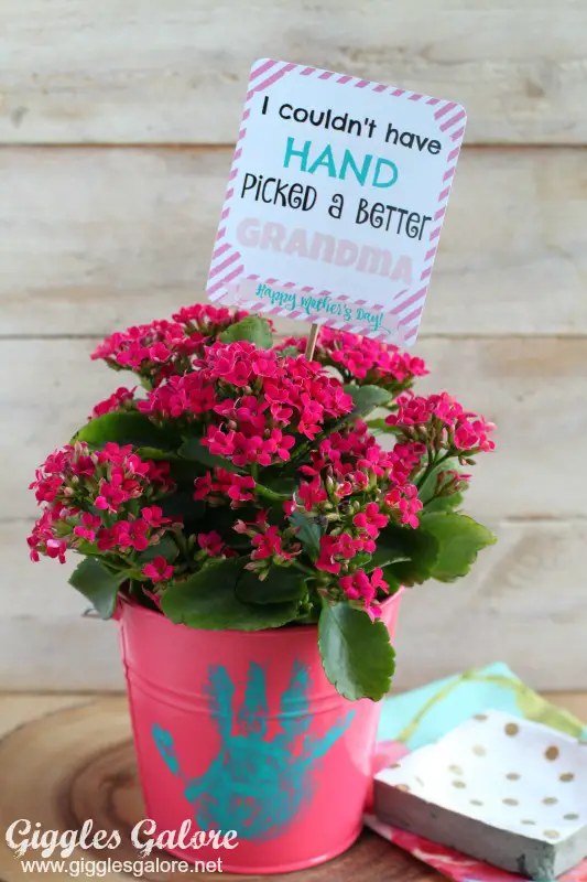 Mother’s Day Plant Gift By Giggles Galore