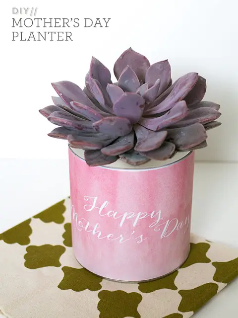 Simple Mother’s Day Planter Gift