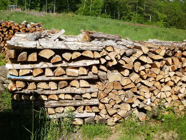 Split firewood stacked in a single open row, top covered, drying in full sun beside a field